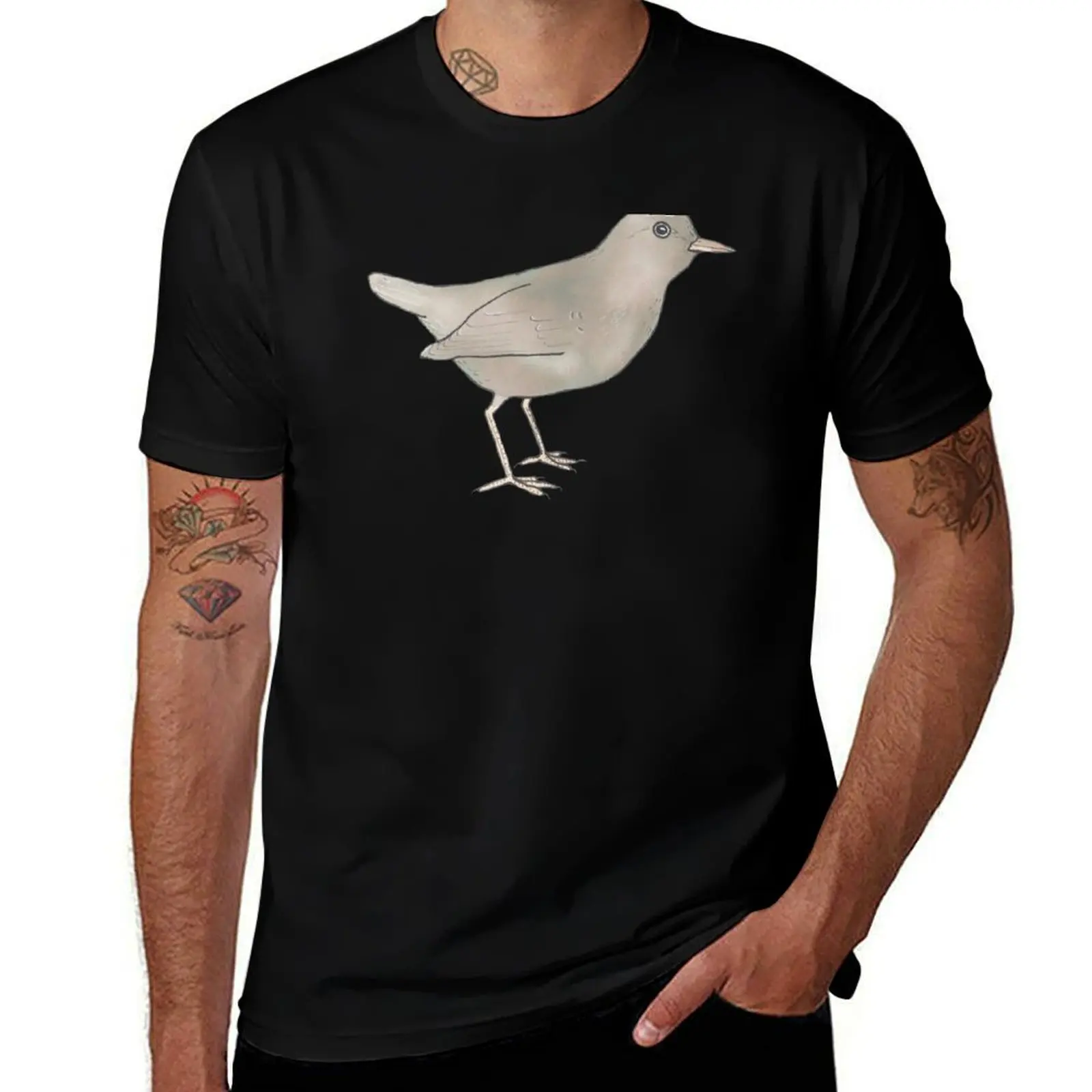 American Dipper bird species art T-Shirt Simple Solid Color Crew Neck Tee T-Shirt