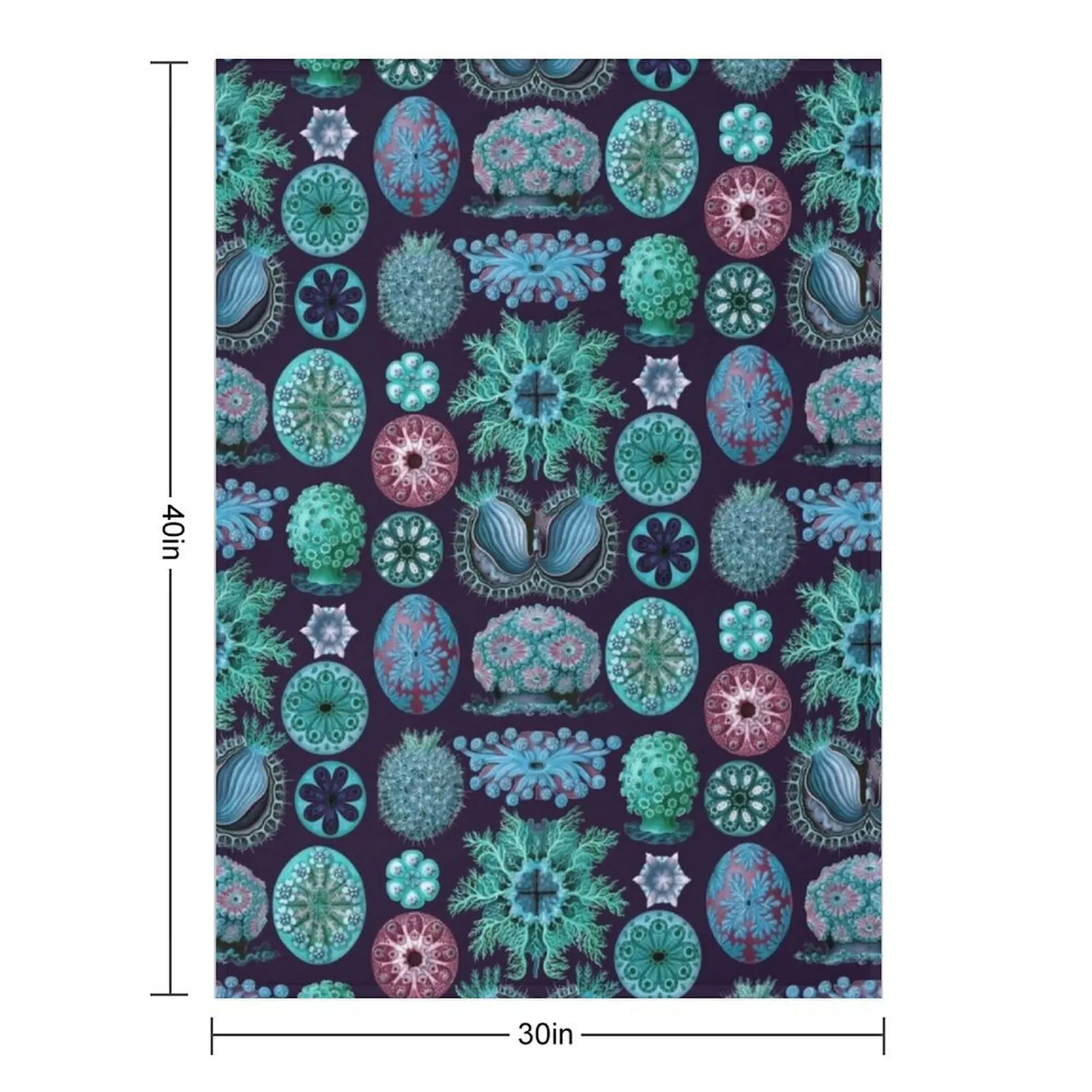 Ernst Haeckel Ascidiae Sea Squirts Teal Colorway Throw Blanket Decorative Sofa Sofa Quilt Moving Luxury Blankets