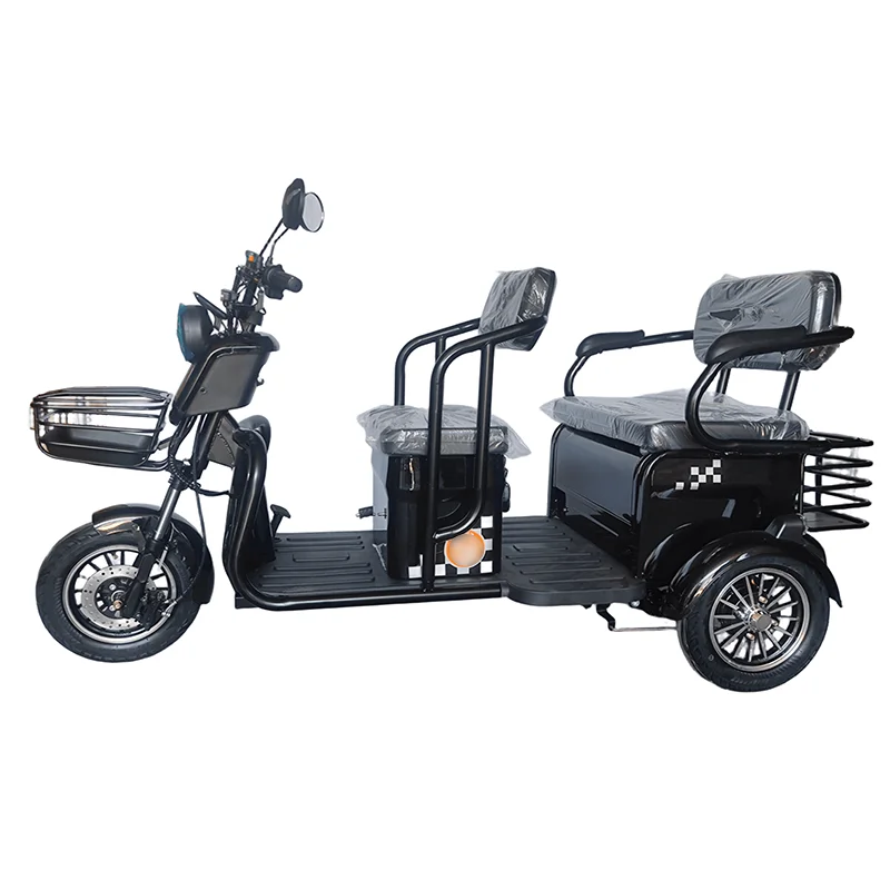 High power 2 seats 3 wheel bike electric pedicab adult electric tricycles for passenger