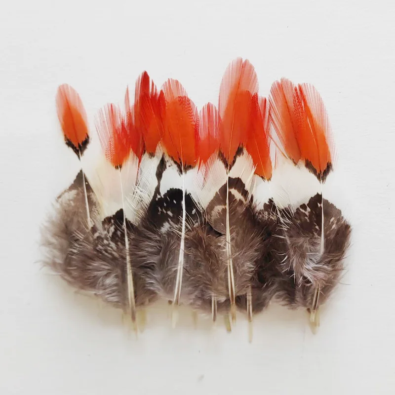 Pheasant Feathers,30Pcs/Lot,5-9cm Long-SHORT NATURAL Orange Tips Lady Amherst Pheasant Feathers,Feather for crafts