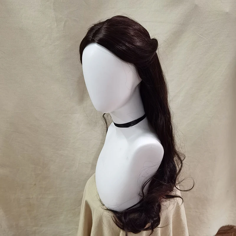 Anime Movie Avatar: The Last Airbender Katara Wig Long Wig Hair and Wigs Avatar Aang Wig Halloween Carnival Christmas Gifts
