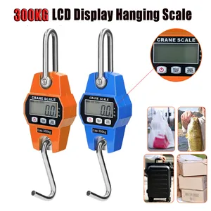 Edelstahlskala der LCD -Spitzengewichtsbalance der resistenten Skala der 300 kg/150 kg/100 kg -Digitas -Aufhängungskala 6 Hauptverkaufsbilanz Crane 100 kg - №6