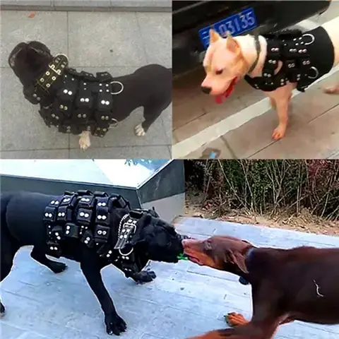 운동용 개 하네스 대형견 근육 훈련 키트 빈 쉘 무게 운반 스트랩 조끼 주머니 포함 도고 아르헨티노 피트불
