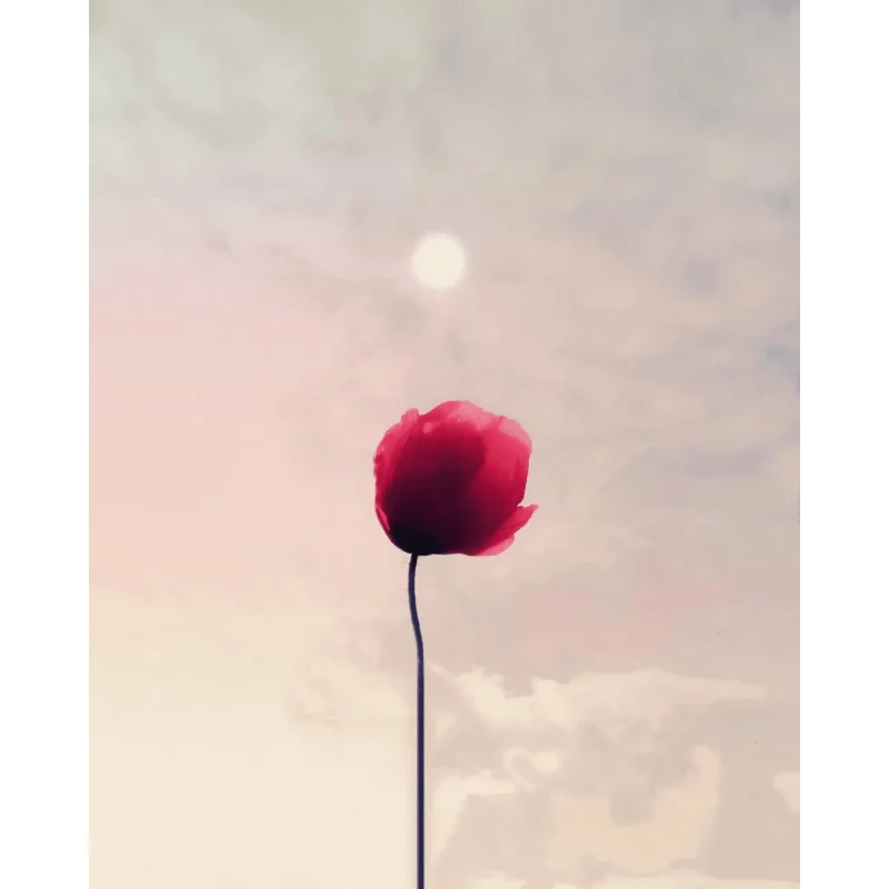 

Драйвер шагового двигателя TMC2209 V2.0 2.5A UART, ультратихий, с поддержкой режимов Step/Dir и Uart для плат управления 3D-принтерами