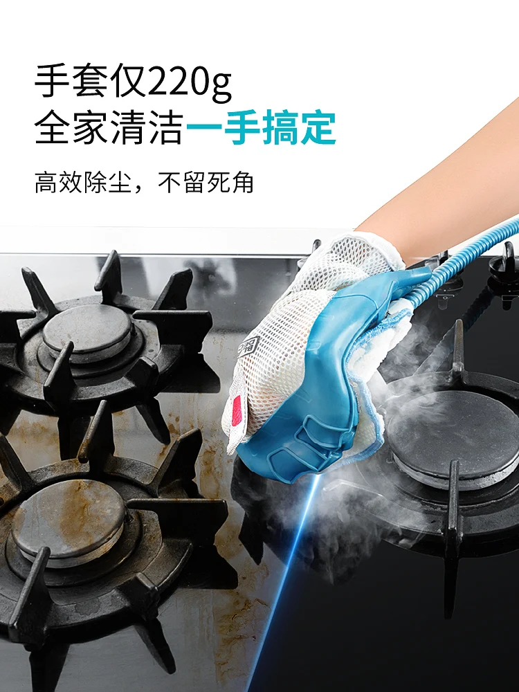 Home Kitchen Steam Cleaner Portable Steam Gloves Washer Sofa Machine Clean Cleaners Cleaning Hand Carpet Steamer Cleaneer Held