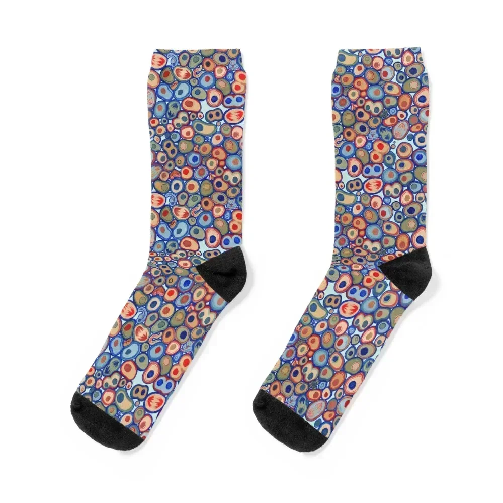 

Cell Biology Fun Socks Stockings man loose Men's bright garter Man Socks Women's