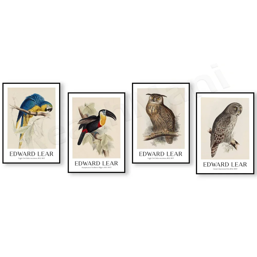 Edward Lear - Macrocercus Ararauna, Eagle Owl, Blue and Yellow Macaw Art Print, Botanical Poster