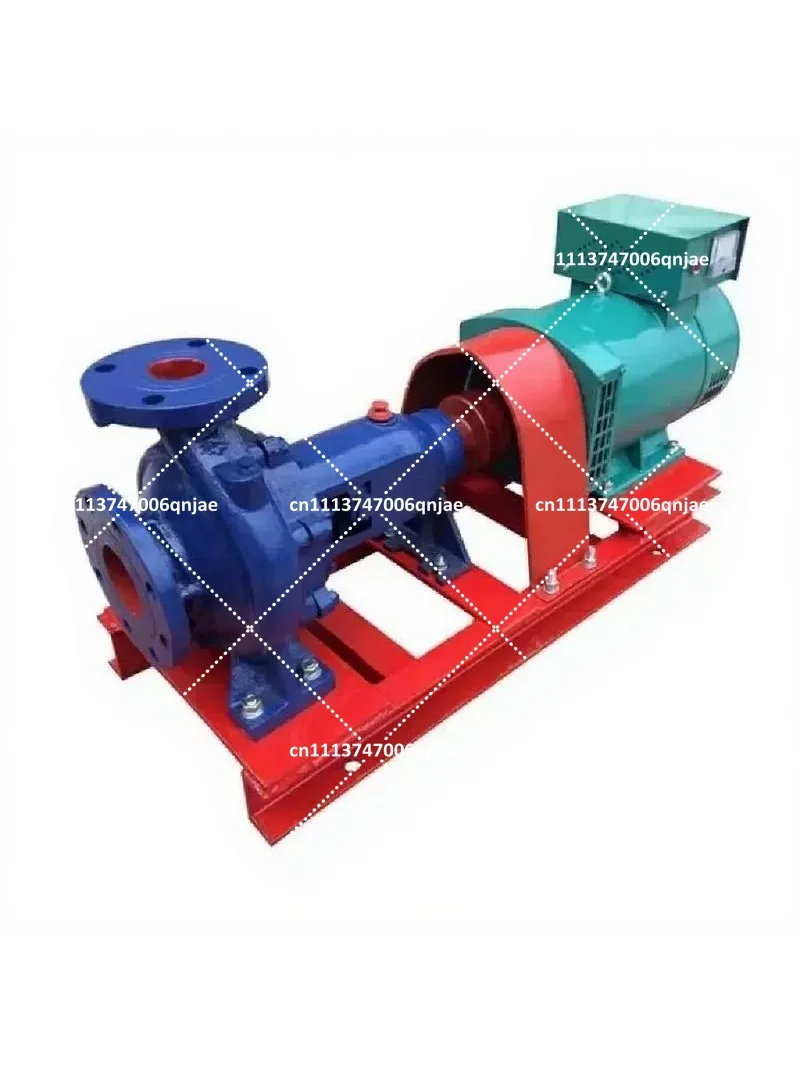Mini Brushless Hydroelectric Generator 3KW 5KW 8KW 10KW Double Nozzle Turbine for Off-Grid Power