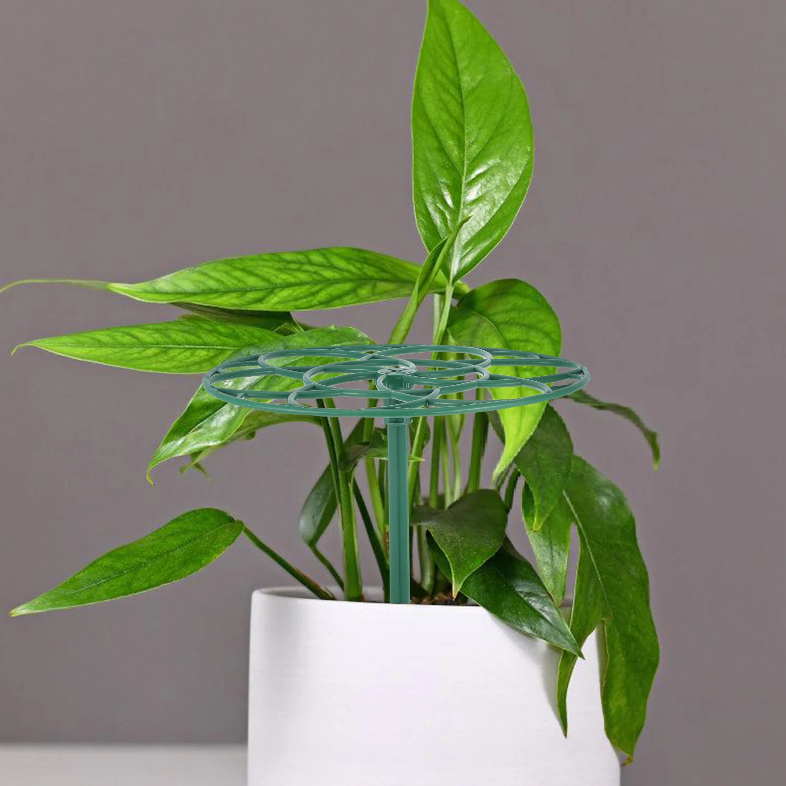 

1 set Flower Support Stand Compact Design For Garden Balcony Patio Plant Support Trellis Sunflower Tomato Cage Peony Ring