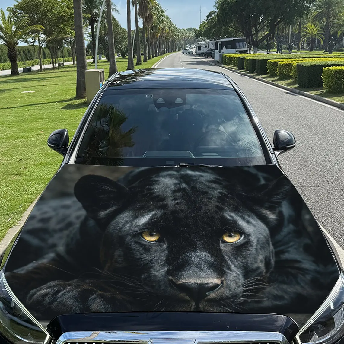 

Mysterious Panther Stare Car Vinyl Wrap, PVC Material Waterproof Car Hood Sticker, Self-Adhesive Scratch-Resistant Stickers for