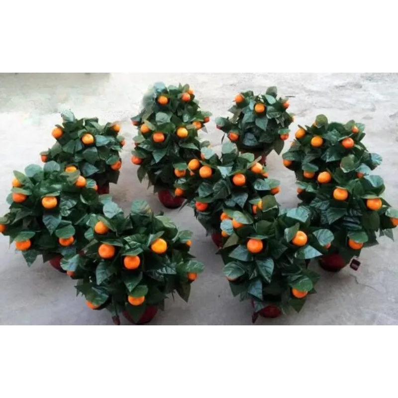 Blooming Oranges - Remote Control (10 Oranges,Battery Version) Magic Tricks Appear Vanish Magia Stage Party Wedding Prop Comedy