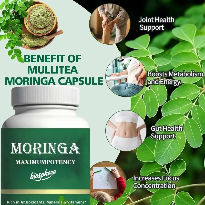 Moringa Capsules - Pure Moringa Powder - Immune and Gut Health Support, Natural Green Superfood Supplement, 60 capsules