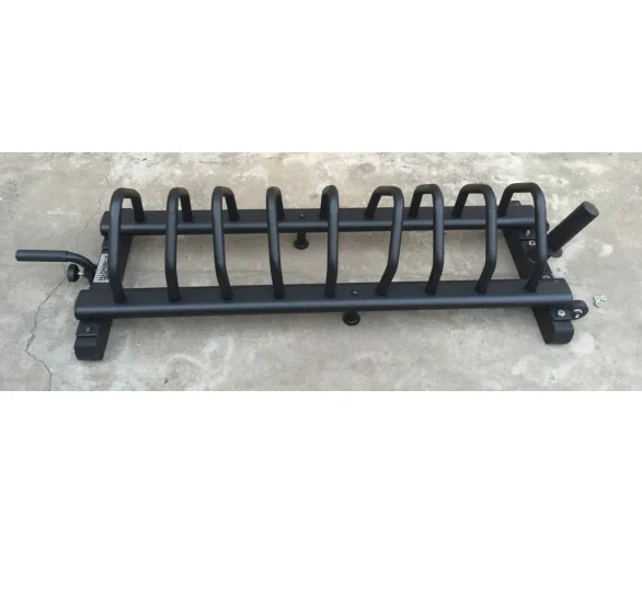 

Mobile Metal Weight Storage Rack Wheeled Barbell Plate Holder for Home & Gym