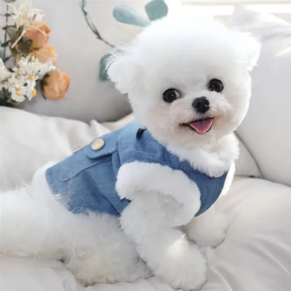 

Two Legs Clothes Soft Bear Pattern Dog Clothes Warm Stylish Pet Cotton Coat Polyester Thick Puppy Cotton-padded Coat Schnauzer