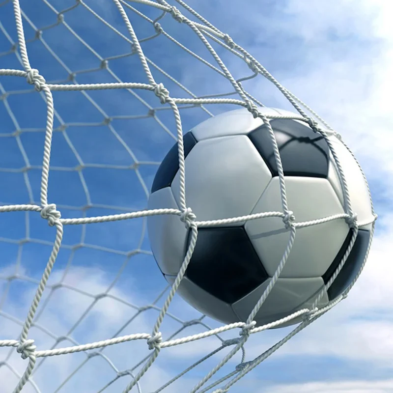 

Soccer Goal Net Football Training Net Anti-impact Football Post Net Foldable Portable Soccer Net for Club School Football Match
