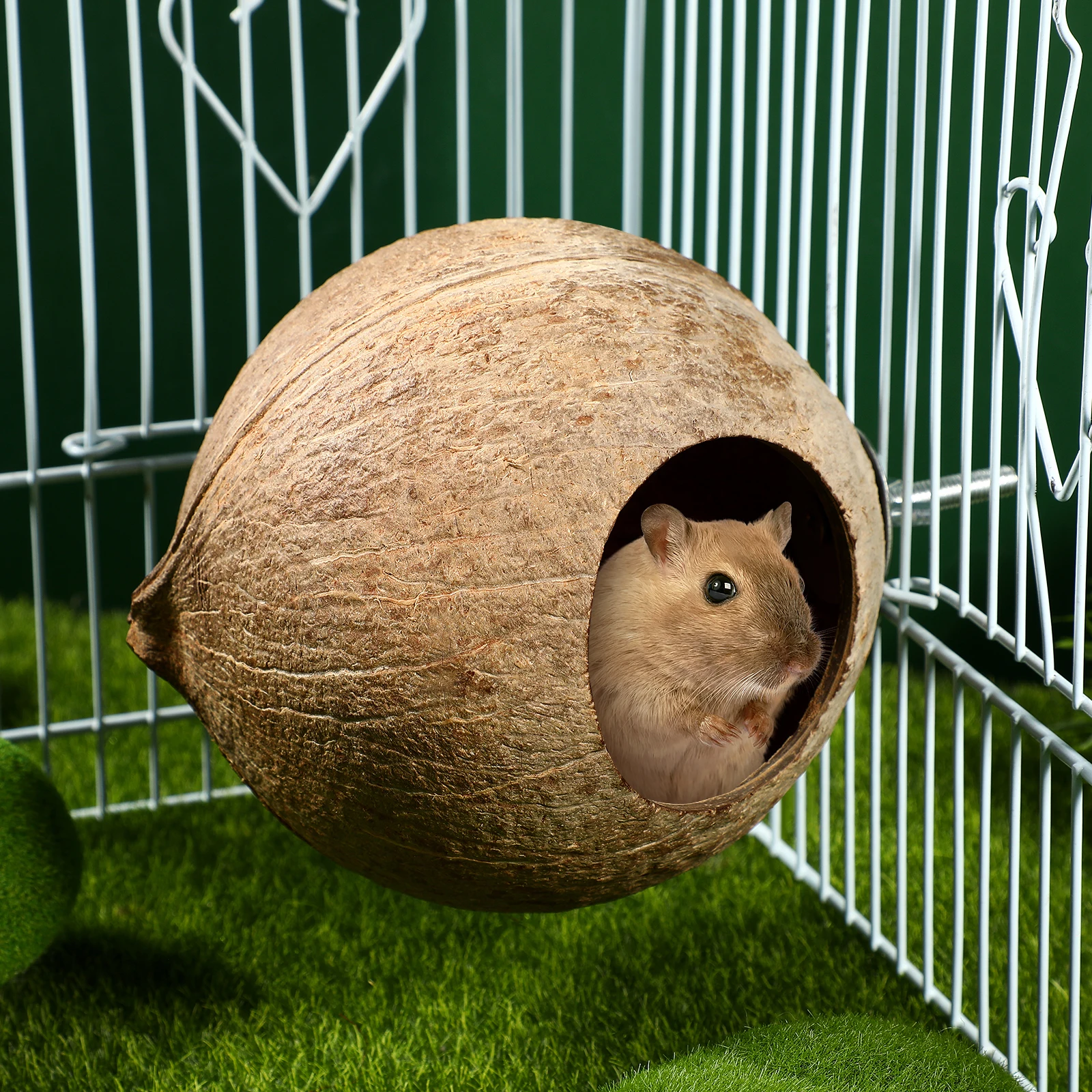 

Parrot Bird Nest House Coconut Shell Pet Birds Nest Durable Safe Handmade Natural Design Comfortable Living Place Canary Parrot