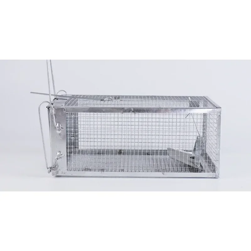 

Small New A New Trap Cage For Rodents Live Animal Pests Rodents Control Bait Capture