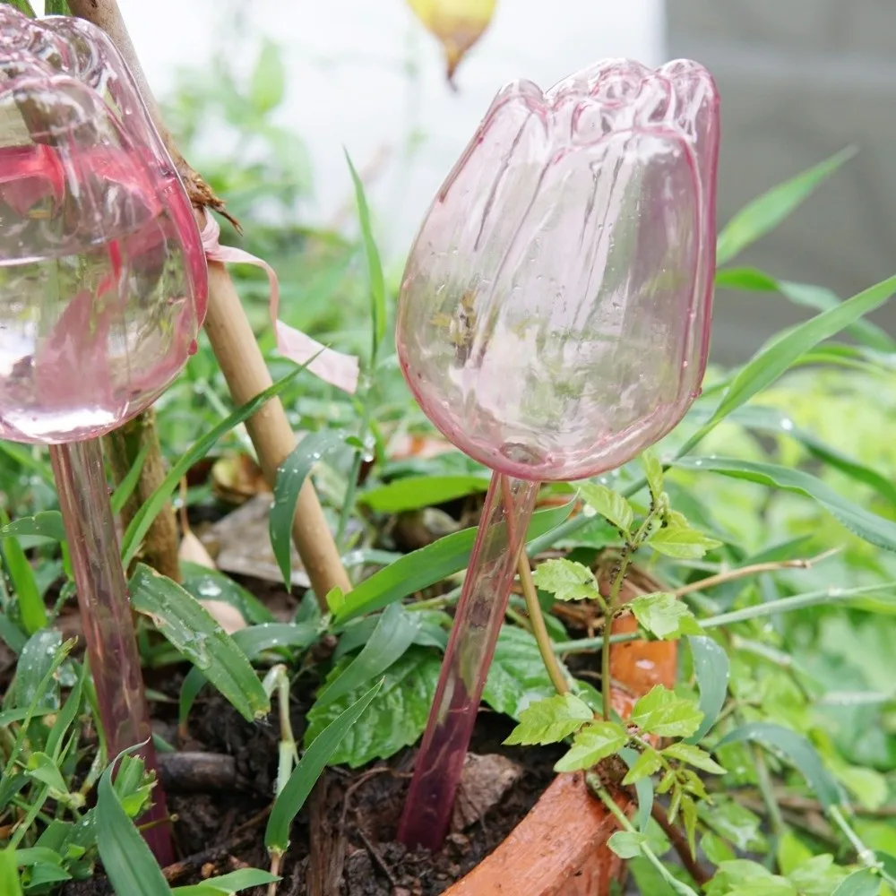 Plastic Tulip Plant Watering Globes Transparent Water Conservation Potted Watering Artifact Time-Saving