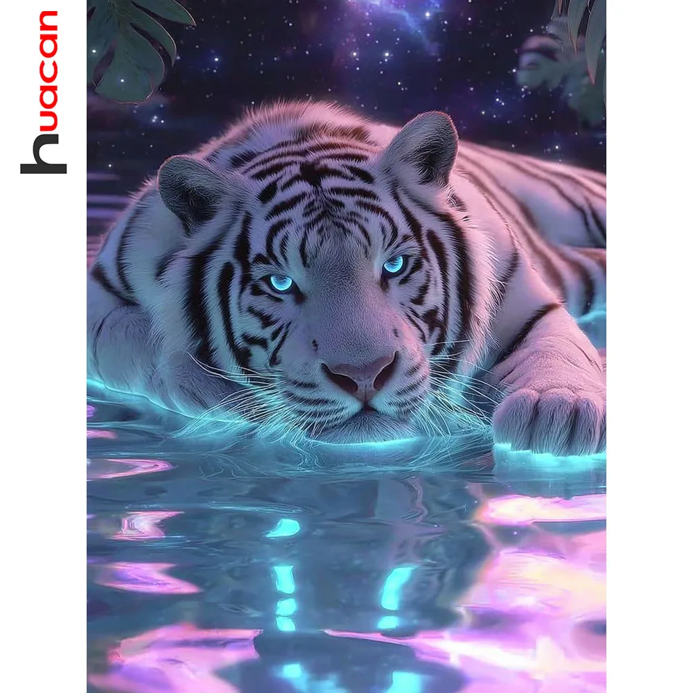 Huacan Diamond Pain…