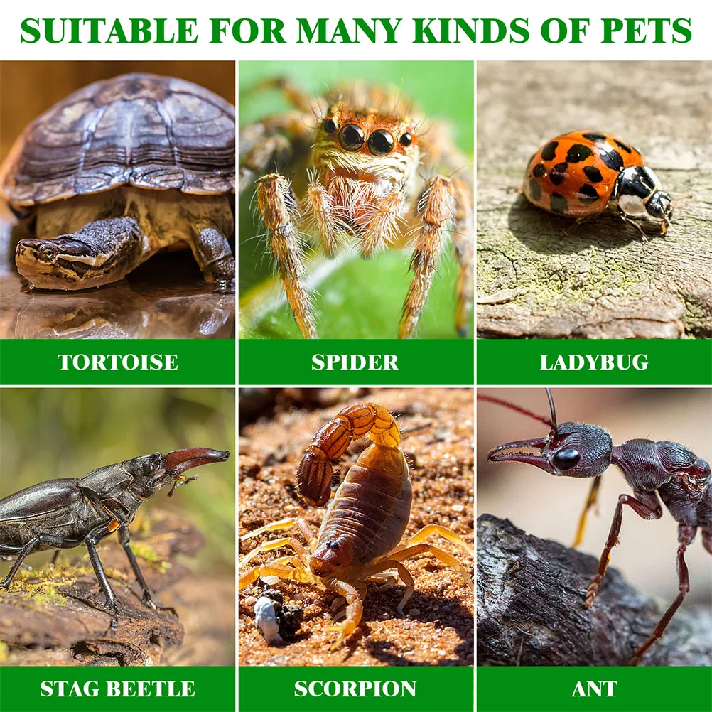 

Sturdy Acrylic Reptile Cage Transparent Snake Box Multi-Function Breeding Container Odor-Free Ventilated Easy Cleaning Household