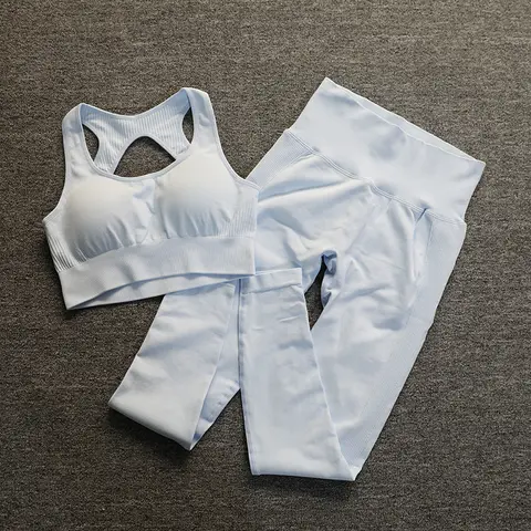 Women Seamless Yoga Sportswear 2 Pcs souteam