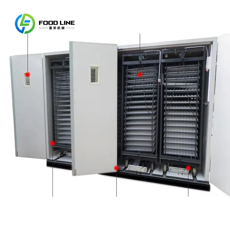 Fully Automatic Chicken Quail Bird Egg Incubator Customized High Precision Poultry Farming Hatching Equipment