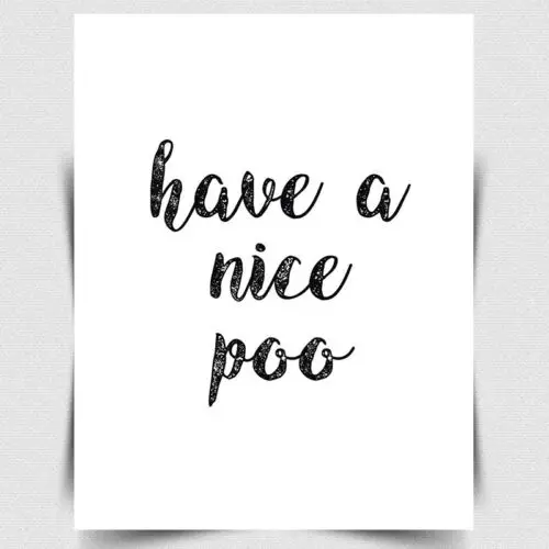 HAVE A NICE POO METAL SIGN WALL PRINT PLAQUE Funny  toilet bathroom