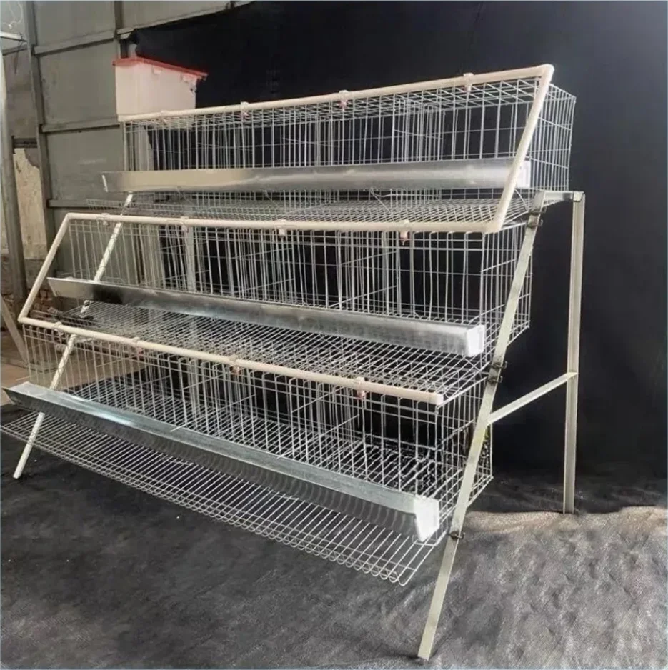 Chicken Farm Equipment Poultry Farm 3 Tiers 250 Birds Animal Battery Layer Chicken Cages