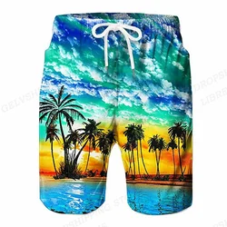 Tropics Sea Island y2k Beach Shorts Pants Men 3D Printed Surfing Board Shorts Summer Hawaii Swimsuit Swim Trunks Cool Ice Shorts