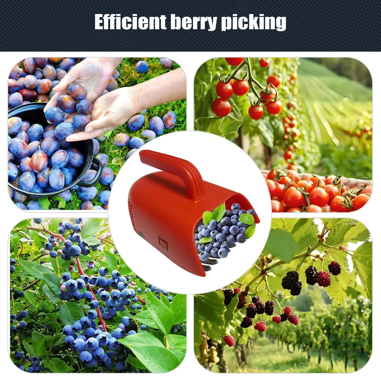 

Berry Picker Cherry Picker With Ergonomic Handle And Comb Blueberry Rake Scoop for Harvesting Collect Leaves Lawn Tree Planting