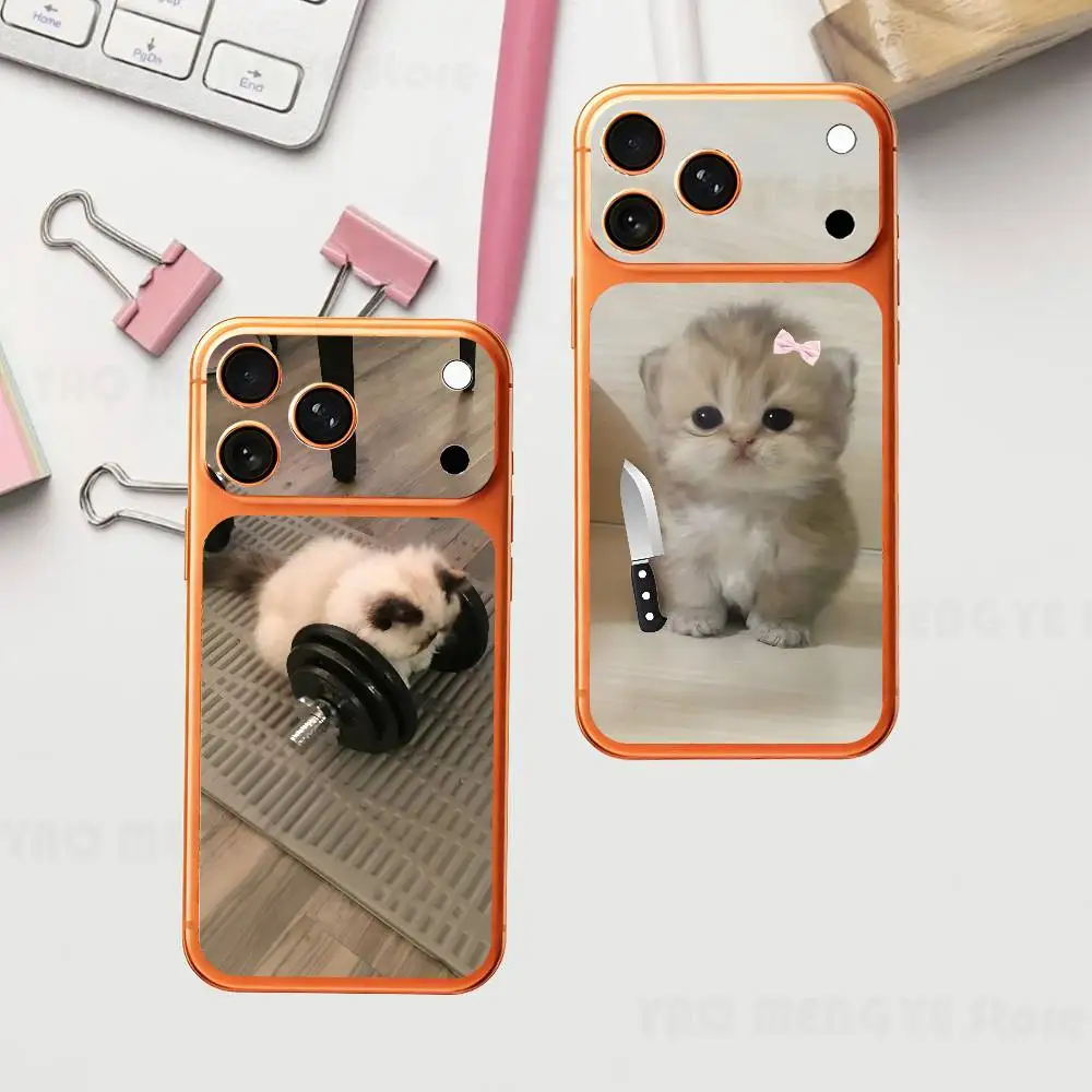 

Cut Little Cat For Iphone 17 Pro ProMax Back Protective Decorative Sticker Back Cover
