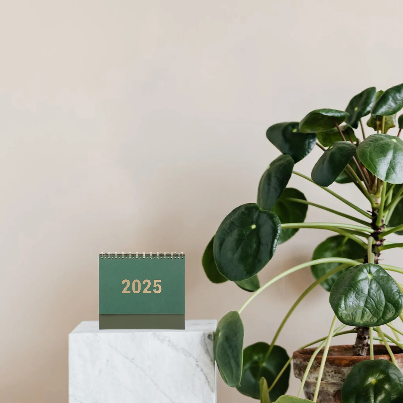 

Настольный календарь на 2025 год, ежедневник, академический год, стол, планировщик задач, класс, милый