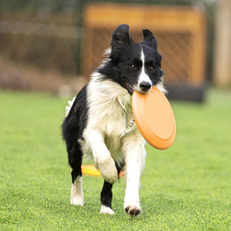 Pet Dog Flying Disk Toy Funny Silicone Resistant Chew Game Puppy Training Interactive Supplies Anti-bite Throwing Toys Perros