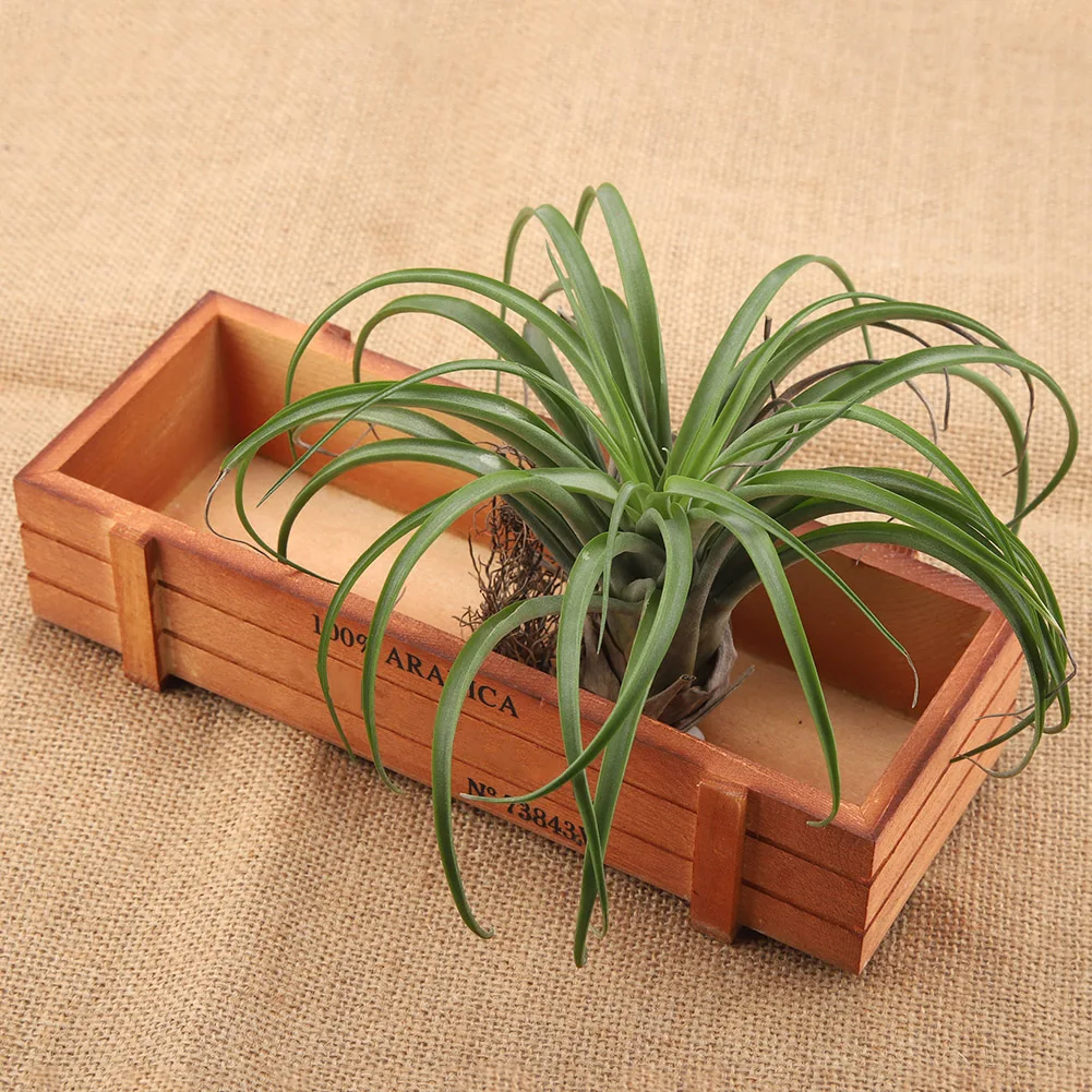 

Vintage Wood Flower Planter Succulent Pot Rectangle Box For Home Desktop Storage Tray