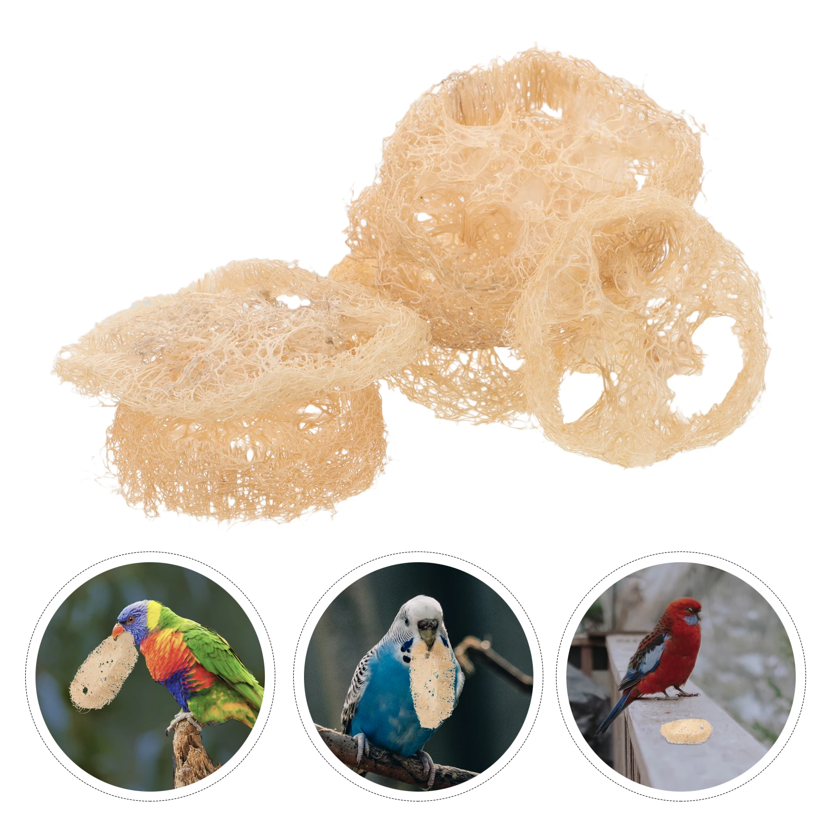 

Pet Teething Edible Loofah Chew Bunny Enrichment for Hamsters Chinchilla Gerbil Dwarf Bird Molar Guinea Pig