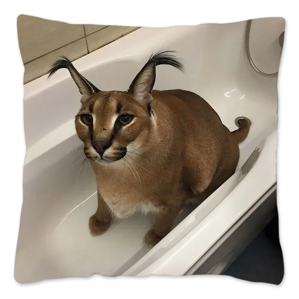 Floppa Cute Meme Poszewka na poduszkę 40x40 Home Decor Dakimakura Funny Caracal Cat Poszewka na poduszkę do salonu Housse De Coussin