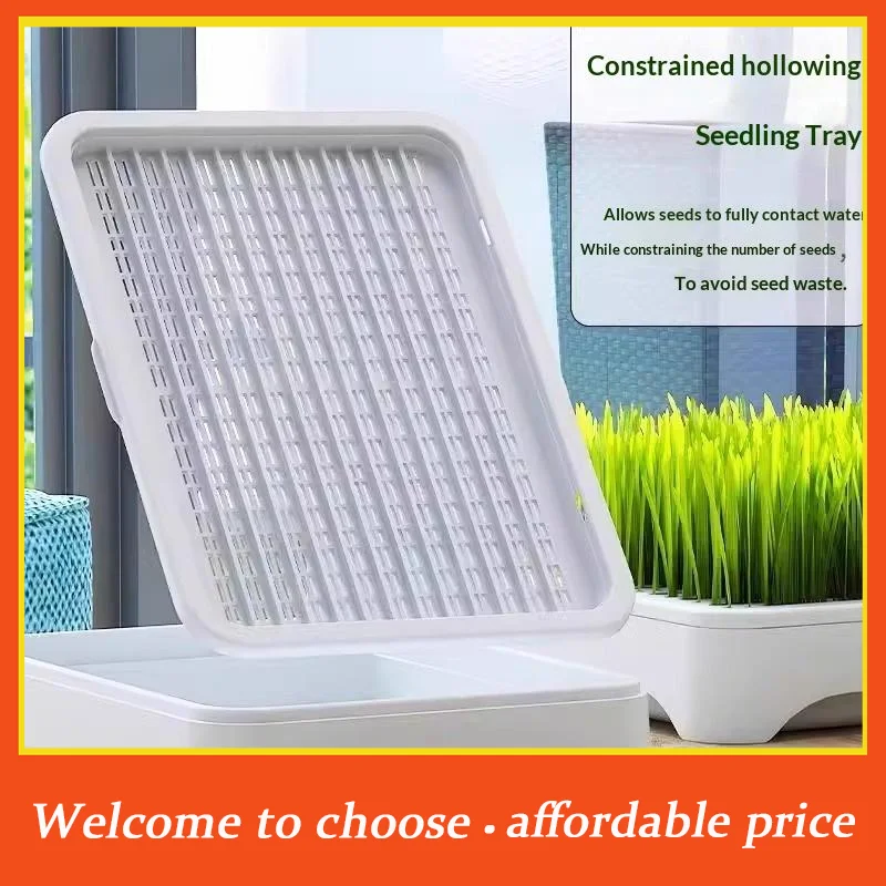 **Pet Cat Grass Planting Basin Soilless Culture Wheat Seedling Pot Kitten Grass Hydroponic Device Horticultural Planting Pot'