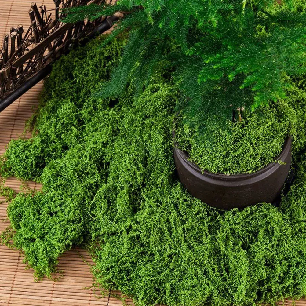 1 Bag Realistic Artificial Filamentous Moss For Crafts Micro Landscapes Diy Potted Plants Faux Moss Decorative Simulation Plant