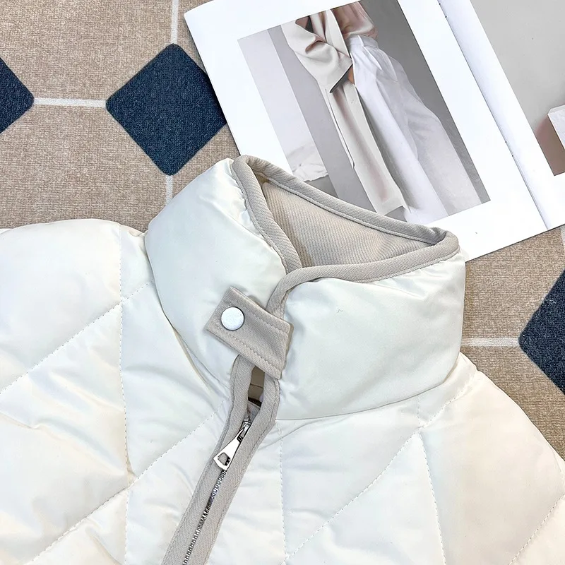 سترة Lingge من القطن بياقة واقفة للرجال على طراز شتوي سميك ودافئ وفضفاض وسترة خبز راقية #3