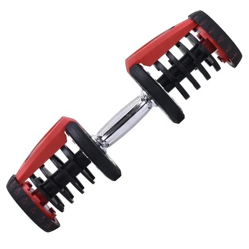 Dumbbell 24kg 40kg Custom Gym Fitness Adjustable Dumbbells for Sale Cheap Mainland China Fitness Equipment