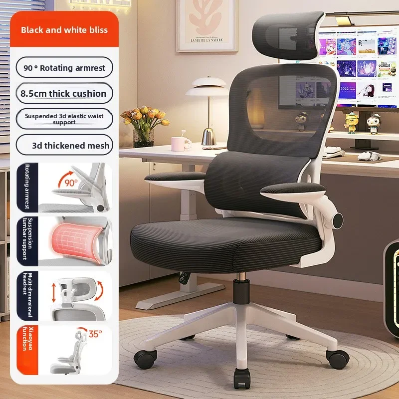 Multi-functional New Ergonomic Chair Office Chair Learning Computer Chair Home Lifting Gaming Chair