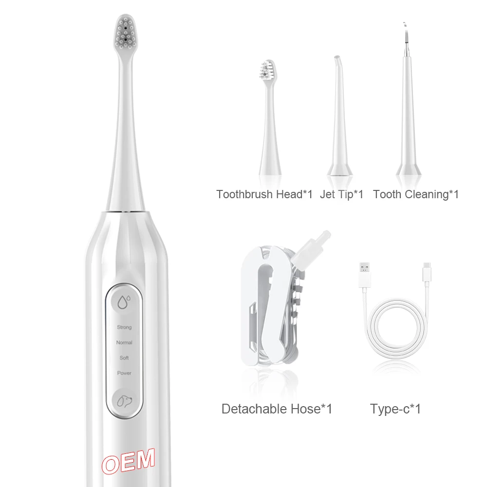 

Easy Teeth Cleaning 4 Modes Pet Electric Toothbrush IPX7 USB-C Charging Pet Cleaning Kit for Dogs and Cats
