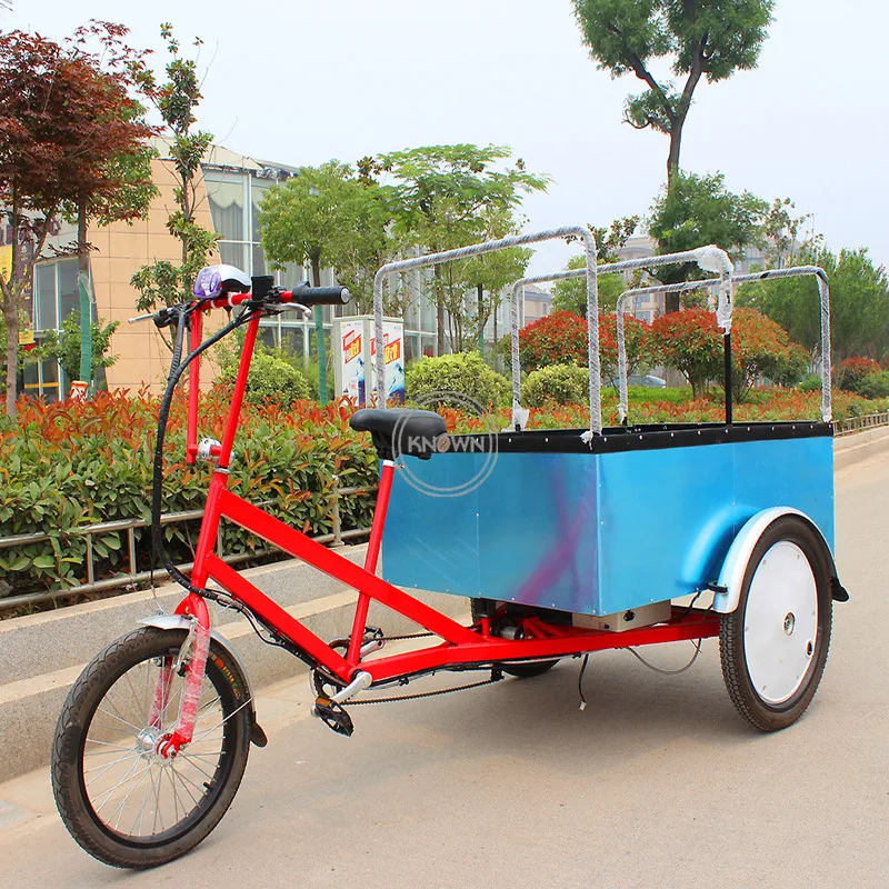 Pedal Cargo Bike 3 Wheel Electric Bicycle Three Wheels Adults Cargo Bike for Carry Goods