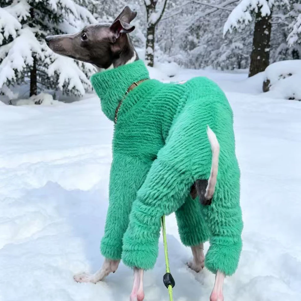 Pijama cuello alto manga larga para perros mini Galgo Whippet verde visón - imagen 5
