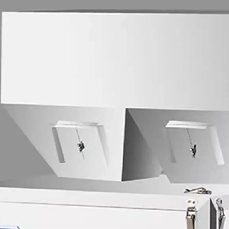 Máquina de enchimento rápida multifuncional de escala dupla, 1-100g, grânulos, pó, tempero, máquina de enchimento quantitativa de grãos, 220v/110v