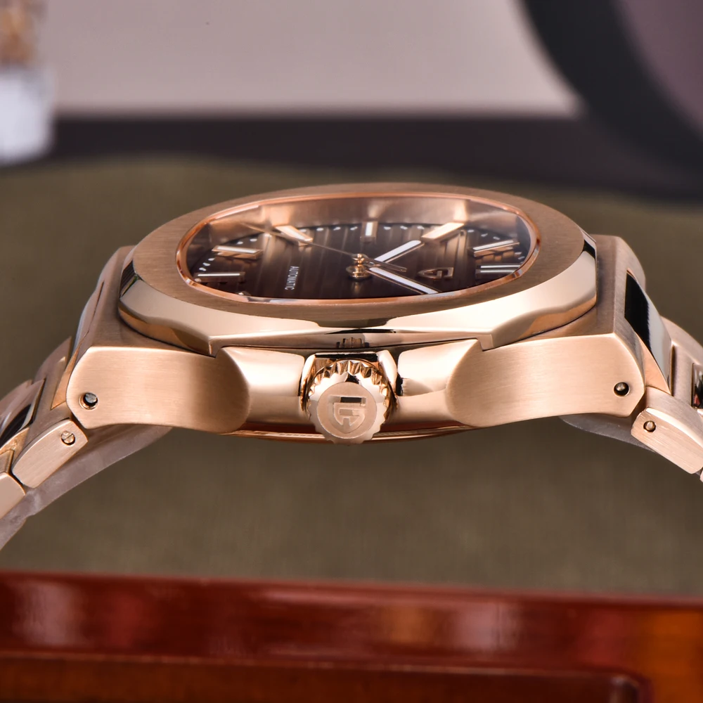 PAGANI DESIGN ساعات 2025 جديد فاخر ارتفع الذهب التلقائي ساعة ميكانيكية الرجال الياقوت كريستال مقاوم للماء ساعة من الفولاذ المقاوم للصدأ