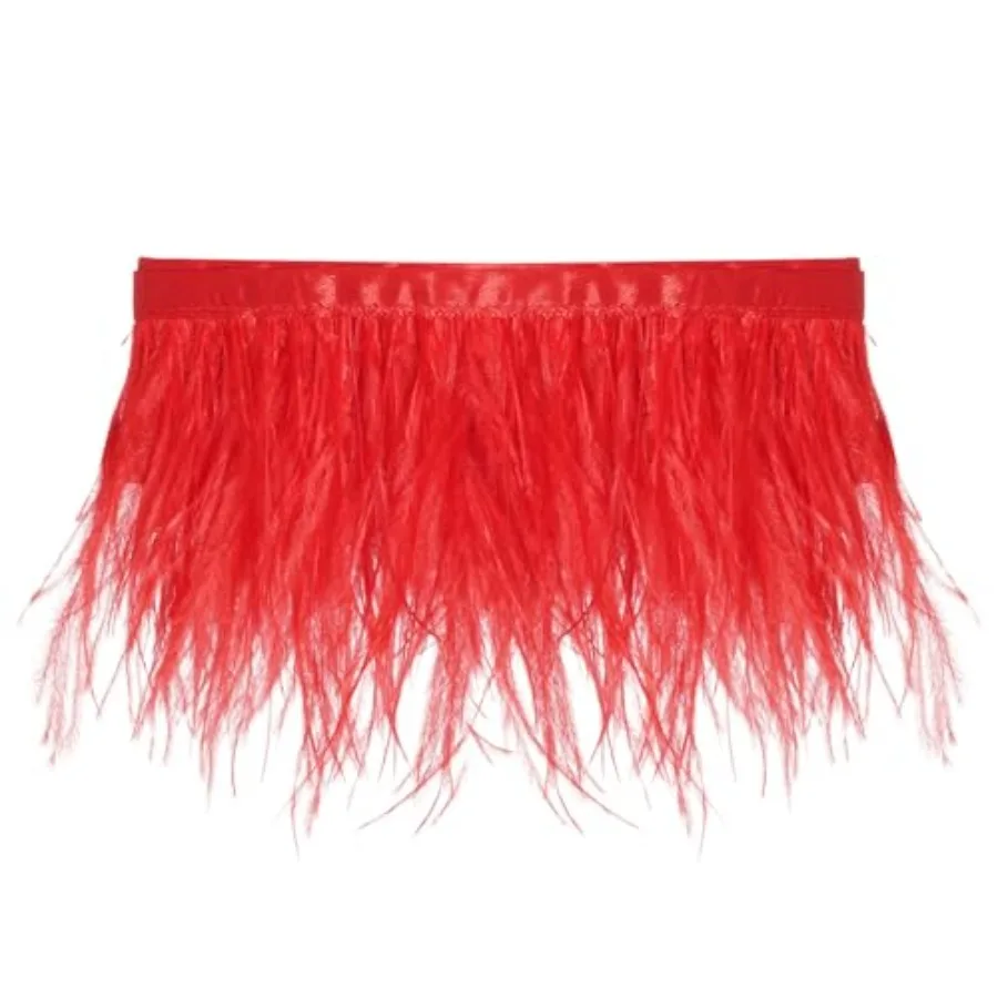 

2 Yards Ostrich Feathers Trim Fringe Ribbon Natural Ostrich Feathers Trim Fringe with Satin Ribbon 3-4 Inches for Sewing Crafts