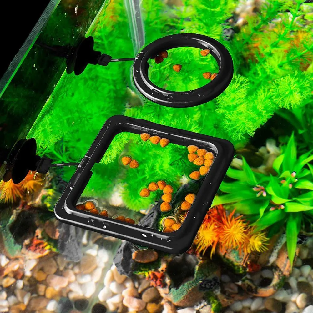 Fish Food Feeding Ring Aquarium Fish Tank Fish Feeder for Tropical Assistant Single Layer Black Square Aquatic Pet Supplies