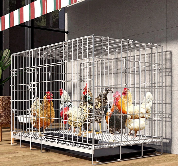 

Chicken cage home outdoor large chicken cage rural chicken house coop shed barbed wire duck