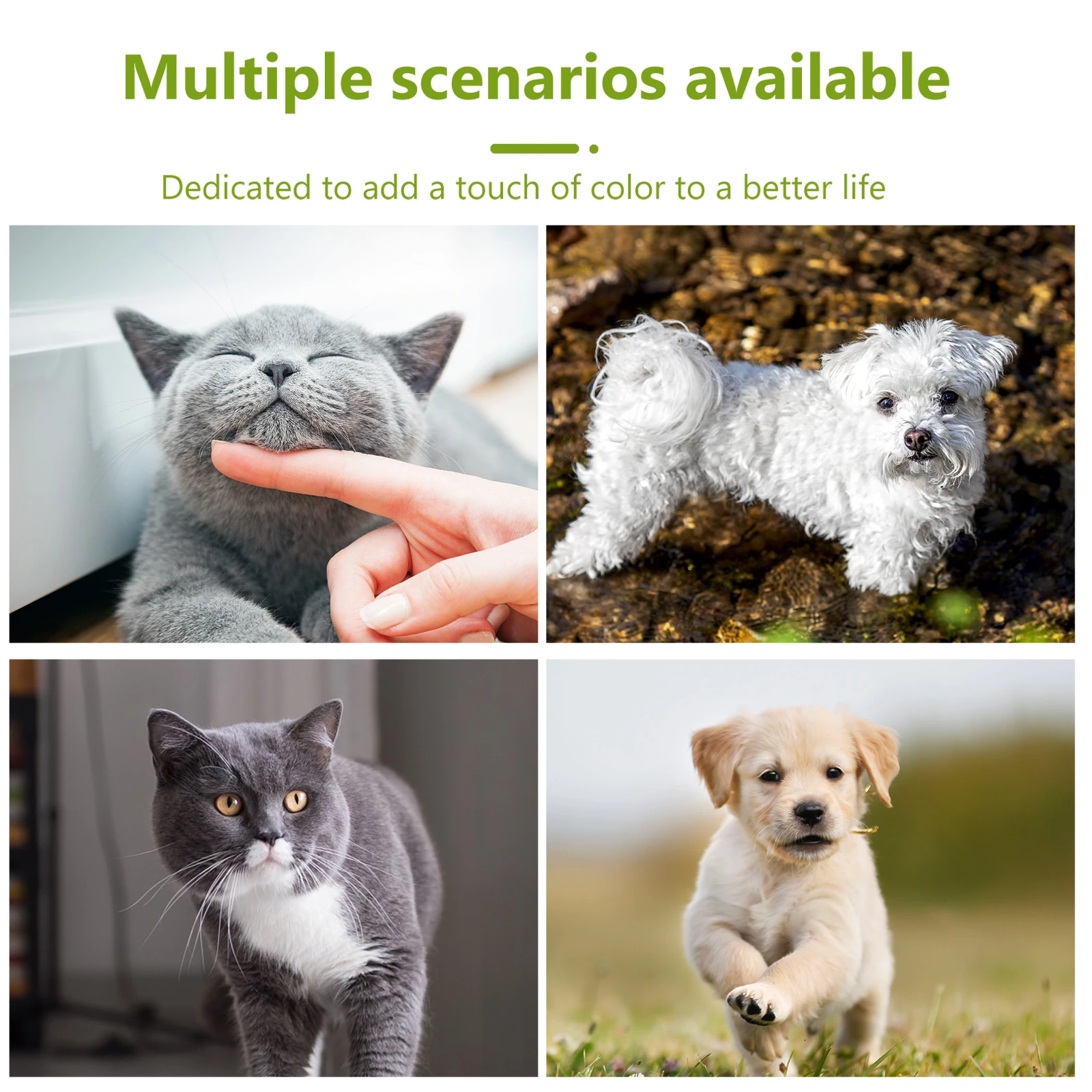 

Anti-Collision Ring For Blind Dogs Cats Durable Wear-Resistant Face Protector Double Buckle Harness Pet Accessories Size Xs 28Cm